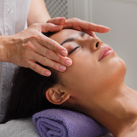 62684874_m_normal_none